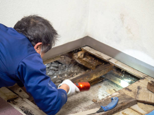 Best Mold Testing  in Lyman, WY