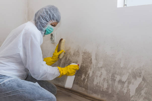 Best Mold Remediation Services  in Lyman, WY