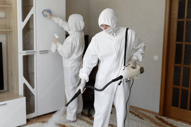 Best Local Mold Removal Service  in Lyman, WY